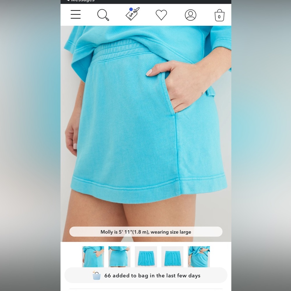 Aerie skirt